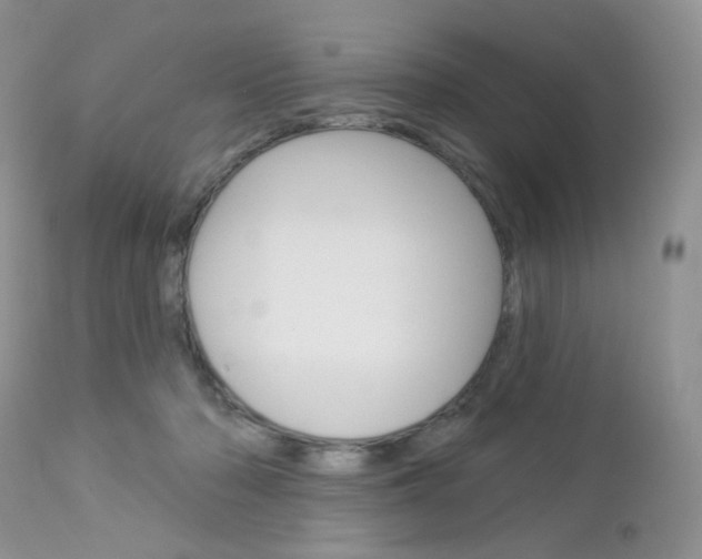 X0000113100318200908280958