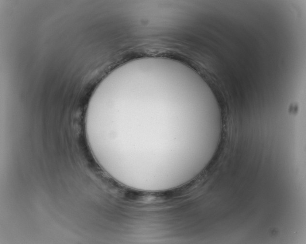 X0000113100319200908280958