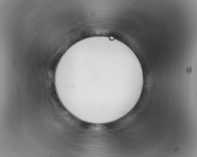 X0000113100321200908280958