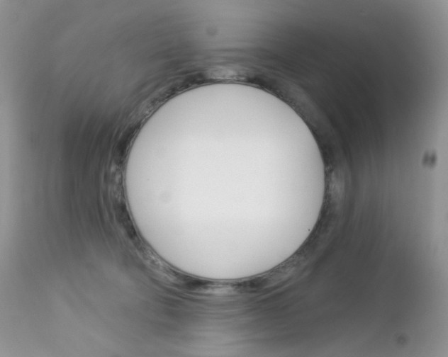 X0000113100322200908280958