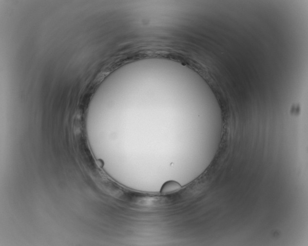X0000113100323200908280958