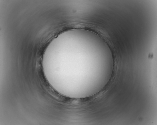 X0000113100325200908280958