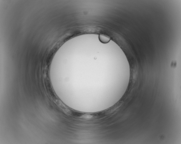X0000113100326200908280958