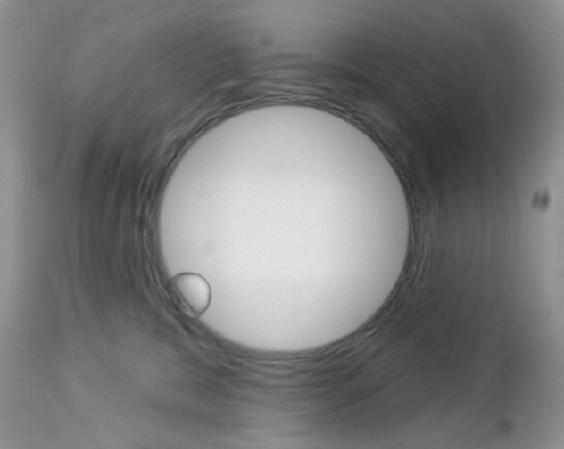 X0000113100327200908280958