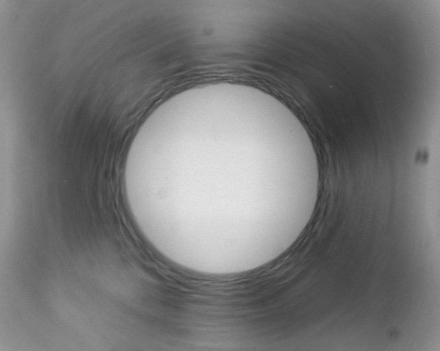 X0000113100328200908280958