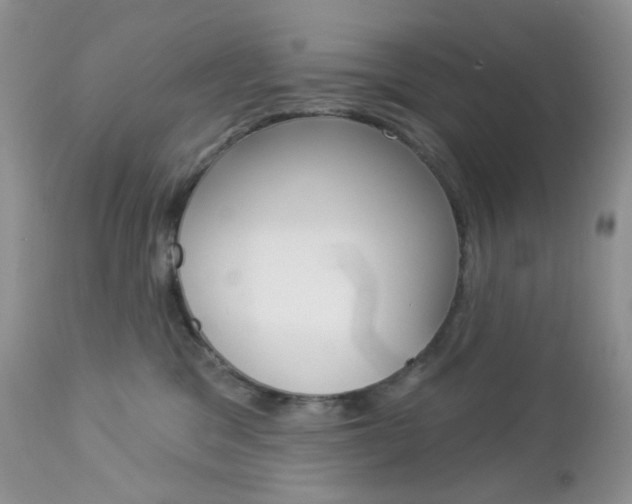 X0000113100329200908280958