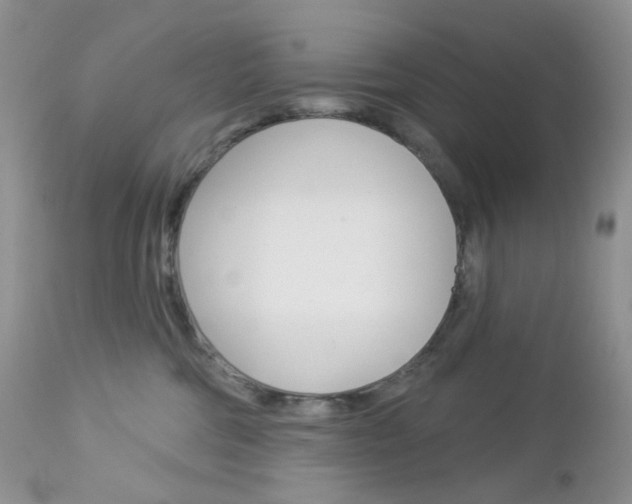 X0000113100330200908280958