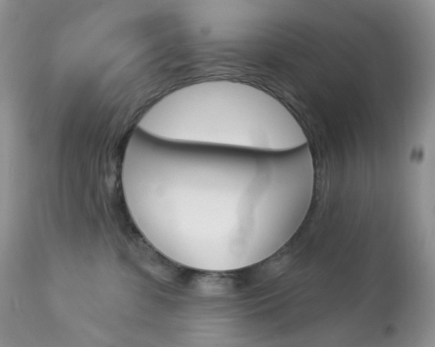 X0000113100331200908280958