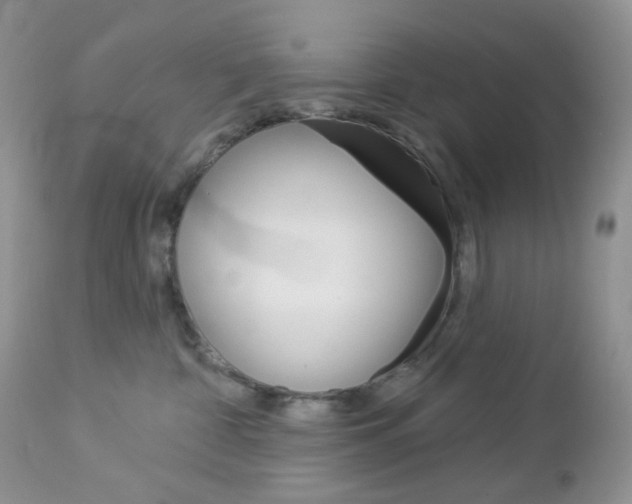 X0000113100332200908280958