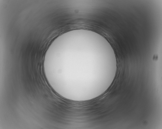 X0000113100333200908280958