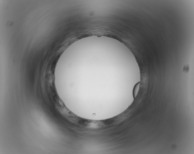 X0000113100334200908280958