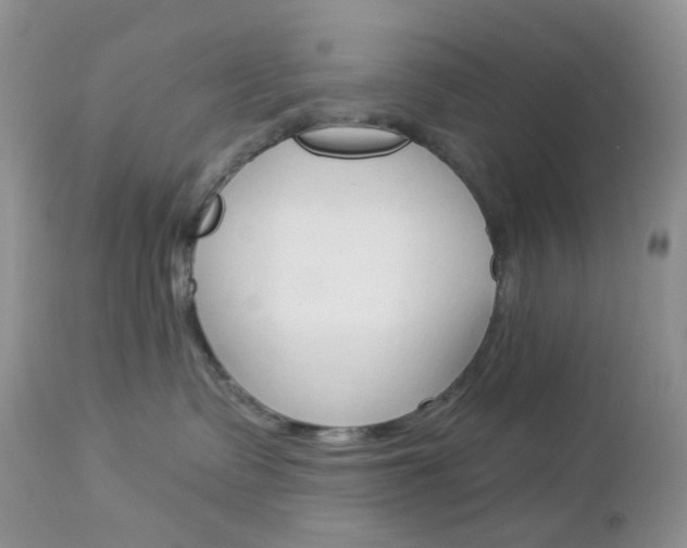 X0000113100335200908280958