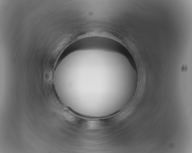X0000113100336200908280958