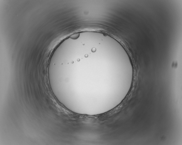 X0000113100337200908280957