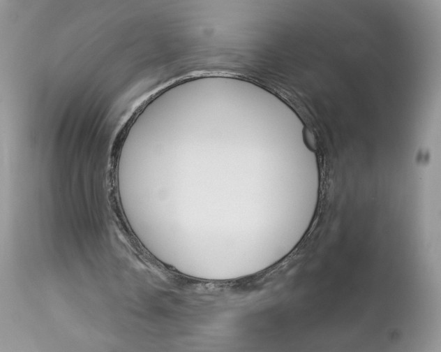 X0000113100338200908280957