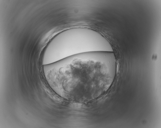 X0000113100339200908280957