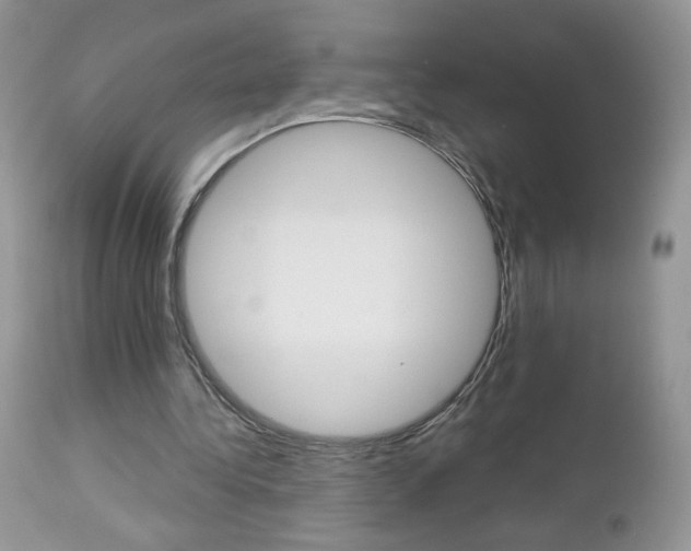 X0000113100340200908280957