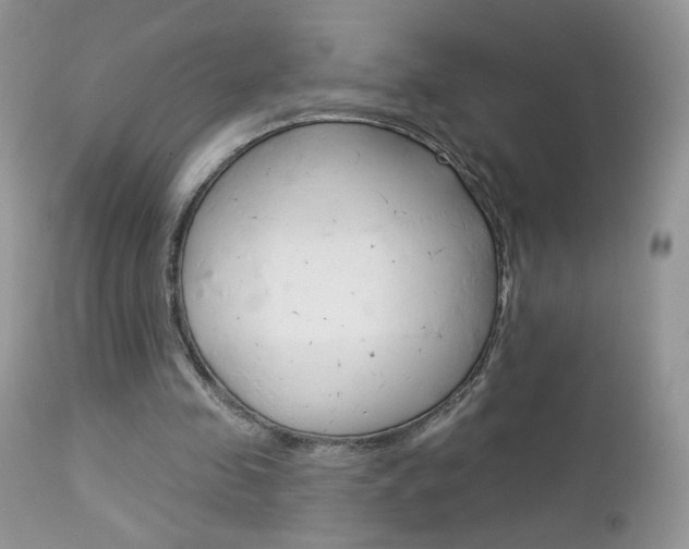 X0000113100341200908280957