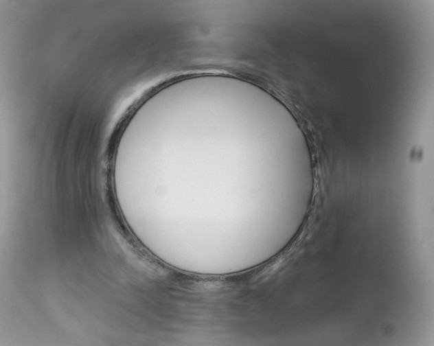 X0000113100342200908280957