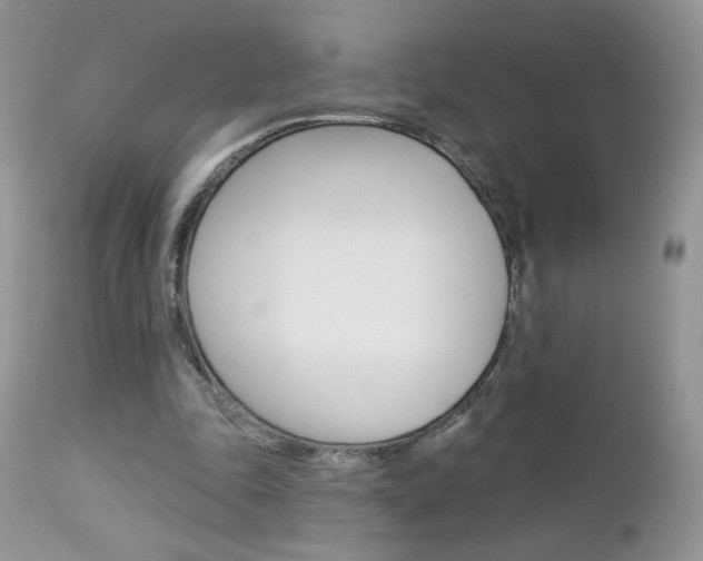 X0000113100343200908280957