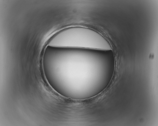 X0000113100344200908280957