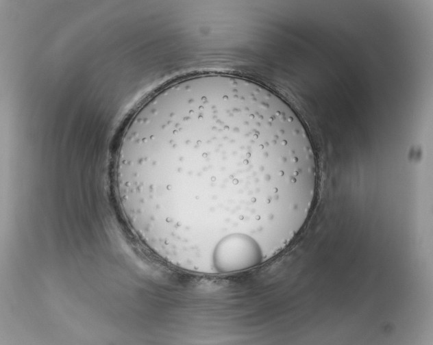 X0000113100346200908280957