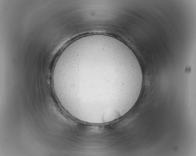 X0000113100347200908280957