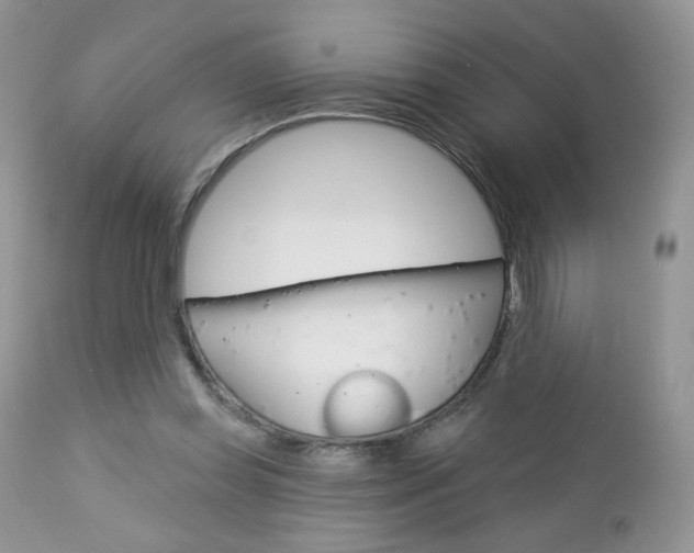 X0000113100349200908280957