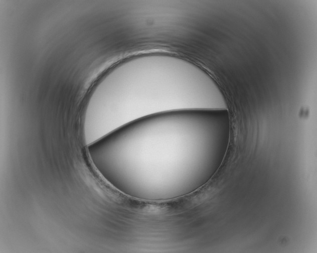 X0000113100350200908280957
