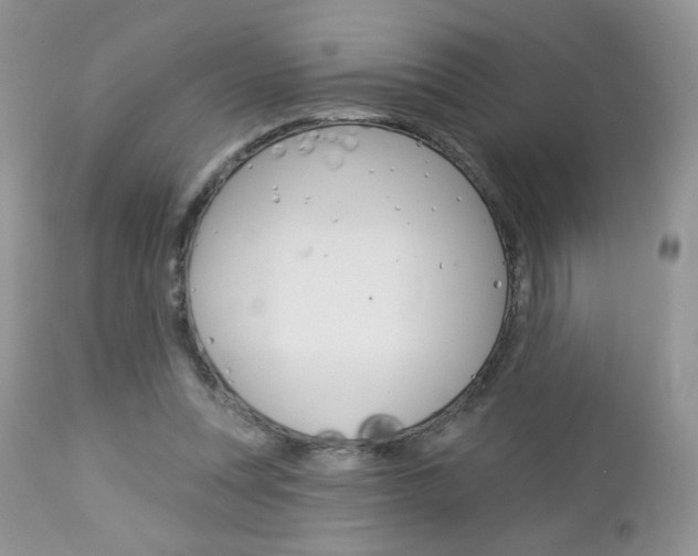 X0000113100351200908280957