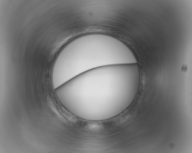 X0000113100352200908280957