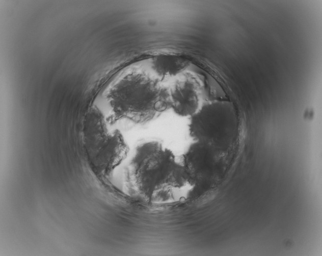 X0000113100353200908280957