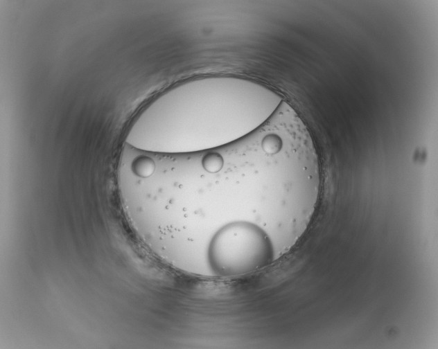X0000113100354200908280957