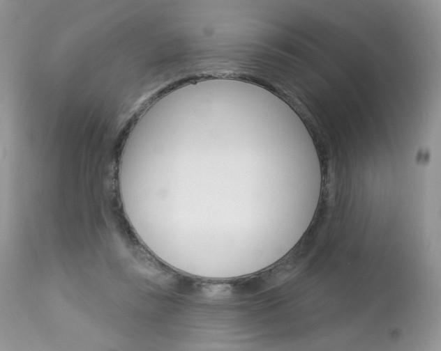 X0000113100355200908280957