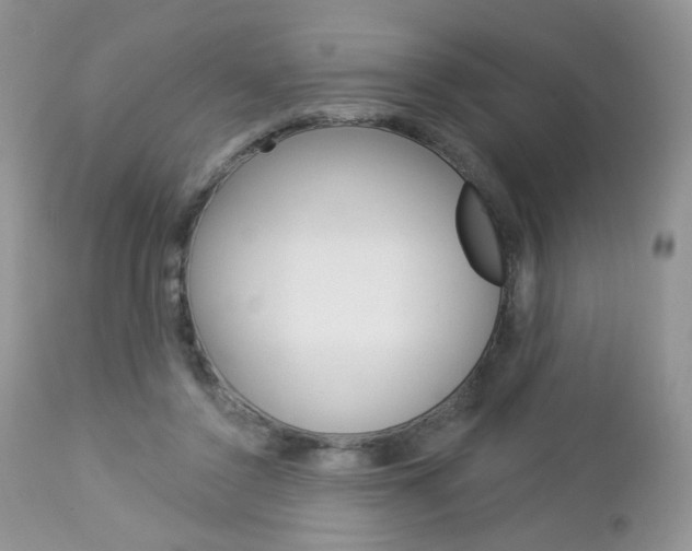 X0000113100356200908280957