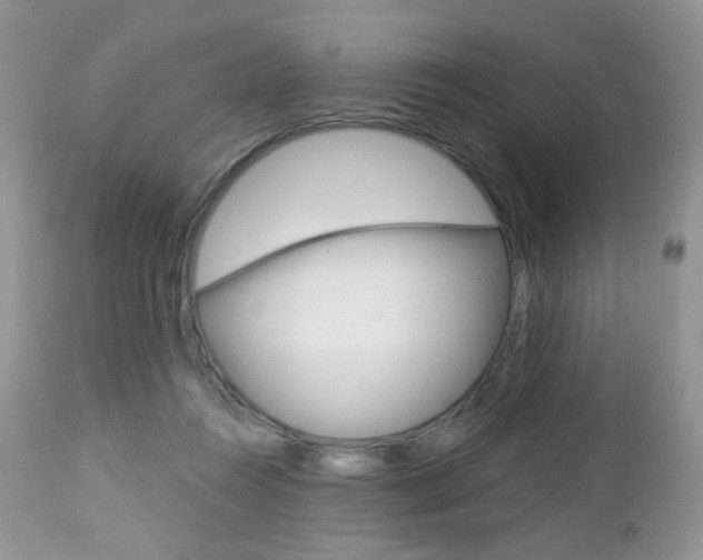 X0000113100360200908280958
