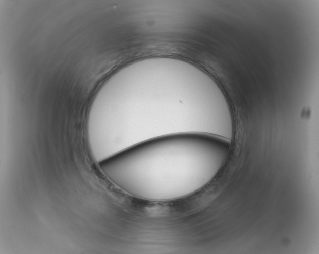 X0000113100362200908280958