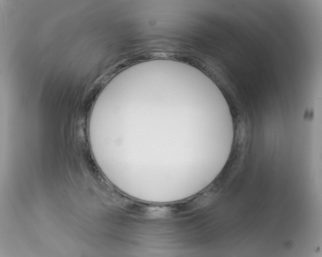 X0000113100363200908280958