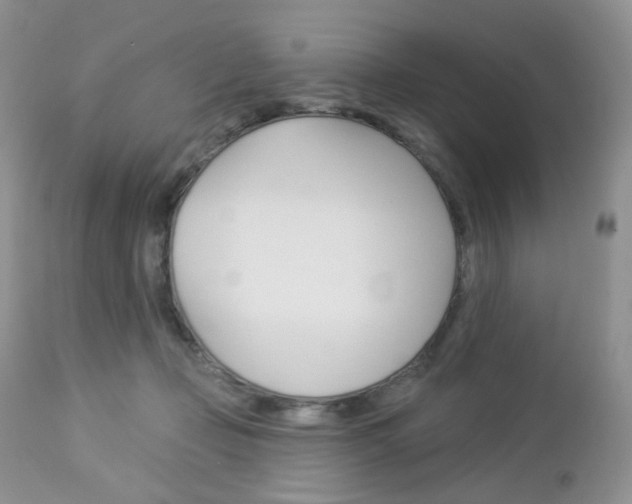 X0000113100365200908280958