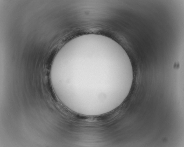 X0000113100366200908280958