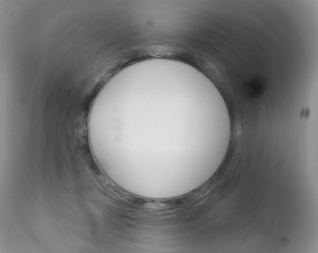 X0000113100367200908280958