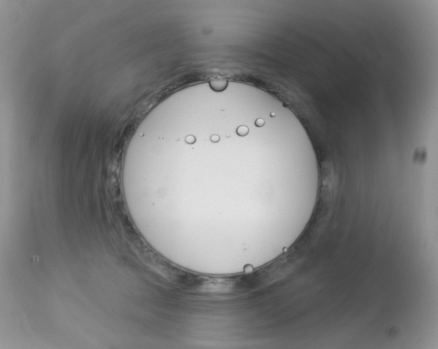 X0000113100369200908280958