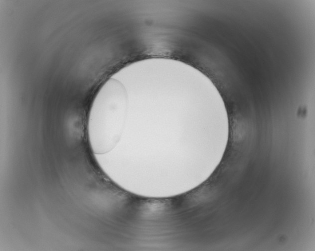 X0000113100370200908280958