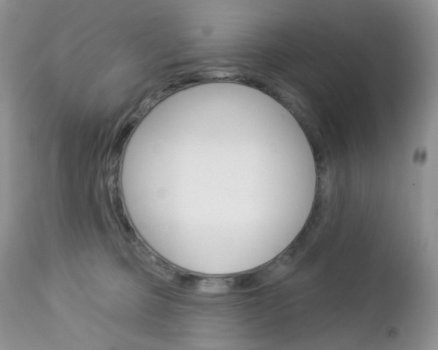 X0000113100373200908280958