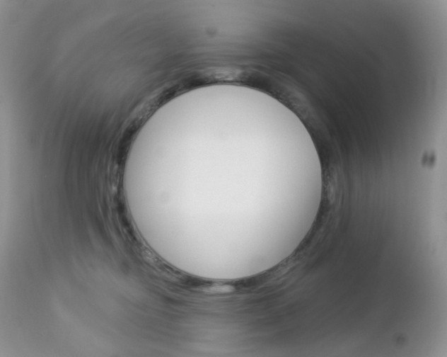 X0000113100374200908280958