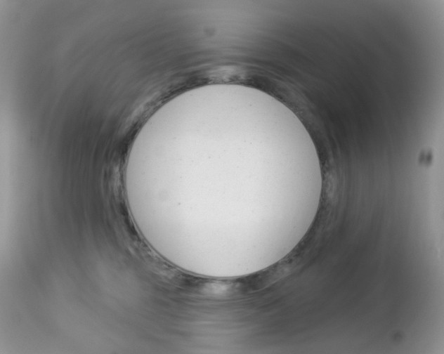 X0000113100375200908280958