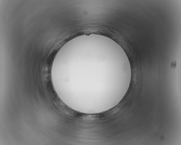 X0000113100378200908280958