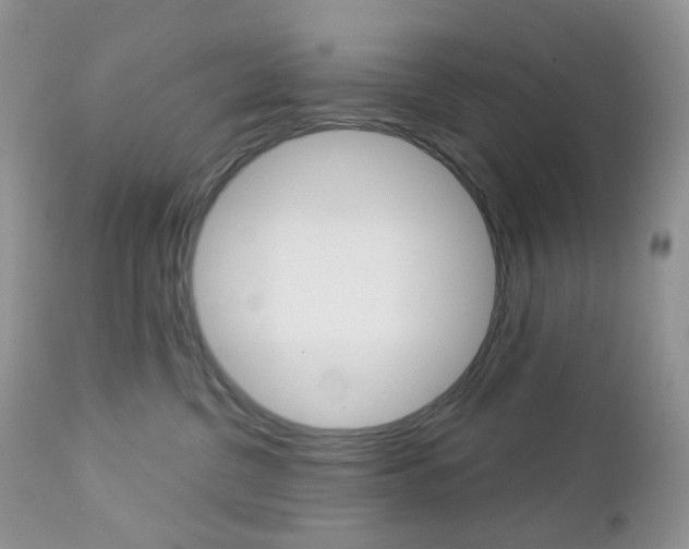 X0000113100380200908280958