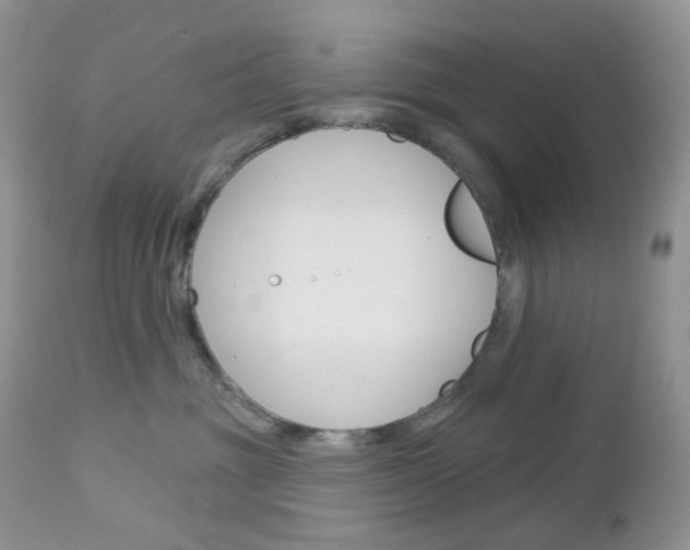 X0000113100381200908280958