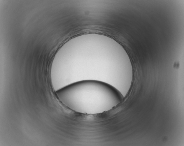 X0000113100382200908280958